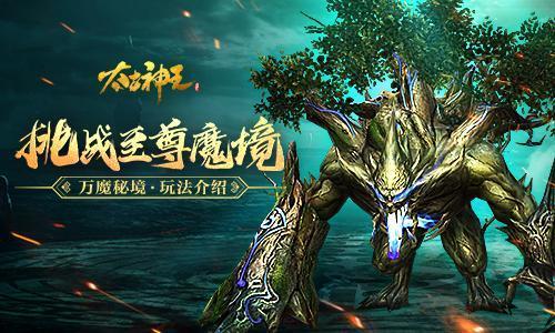 奥斯卡红毯秀